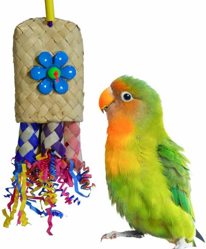 Super Bird Creations Bird Toy Bundle， Small/Medium， 4 count