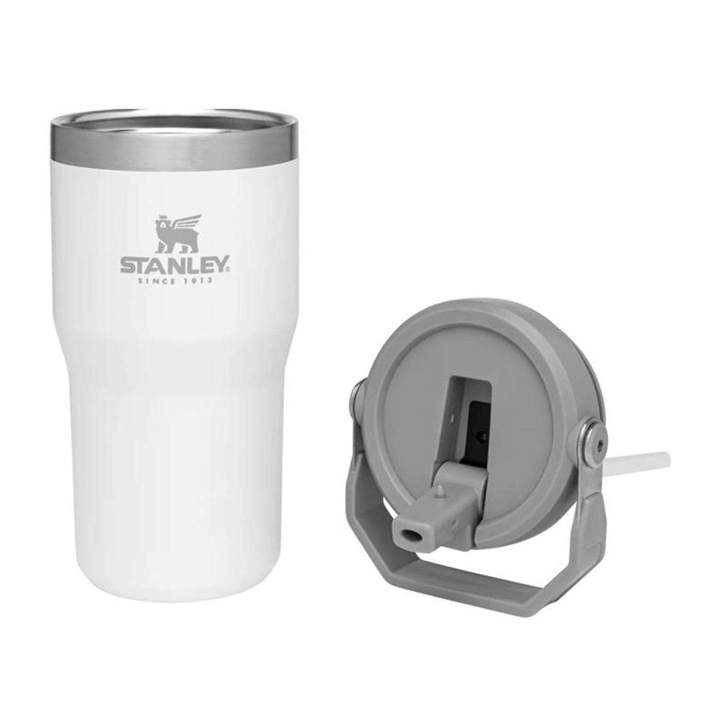 Stanley The IceFlow 20 oz Double-wall vacuum insulation Polar BPA Free Insulated Straw Tumbler