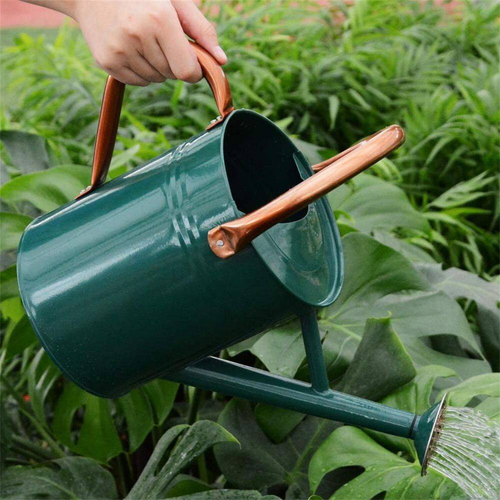 Dyiom 1 gal. Outdoor Steel Watering Can Sliver Galvanized Steel Green Watering Can with Copper Accents B07VX1RZZL