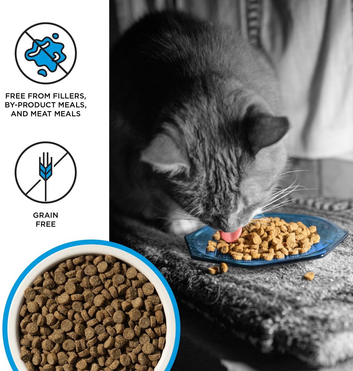 BIXBI Liberty Salmon Recipe Grain-Free Dry Cat Food