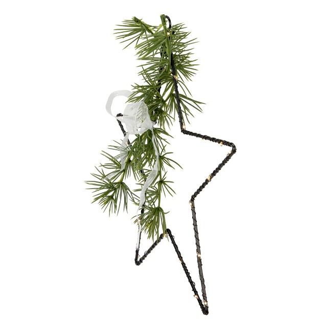 Led Lighted Star With Rosemary Sprig Christmas Decoration Warm White Lights