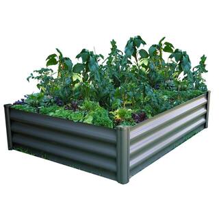 THE ORGANIC GARDEN CO. 48 in. W x 36 in. D x 12 in. H Woodland Gray Galvanized Metal Raised Garden Bed AB1304