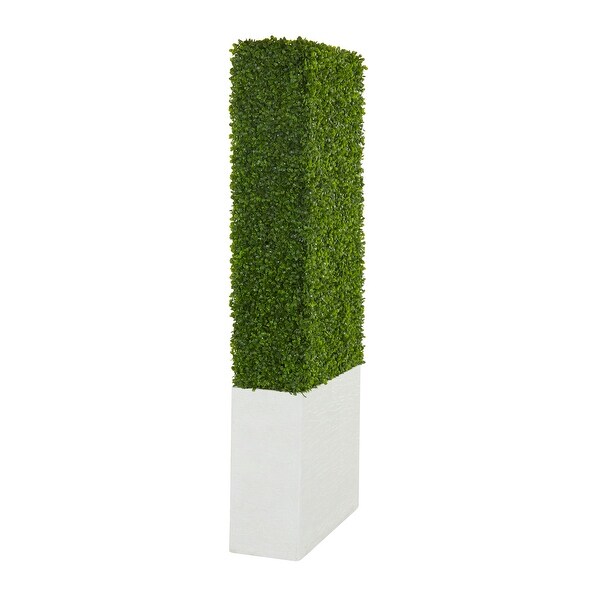 Exclusive and Utmost Beautiful Boxwood Hedge