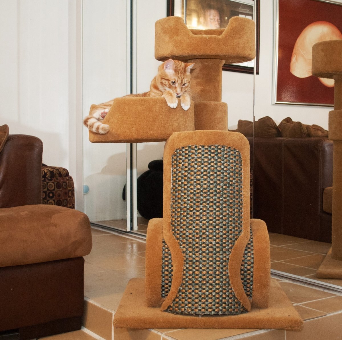 Royal Cat Boutique NANI-2 41-in Carpet Cat Tree， Neutral