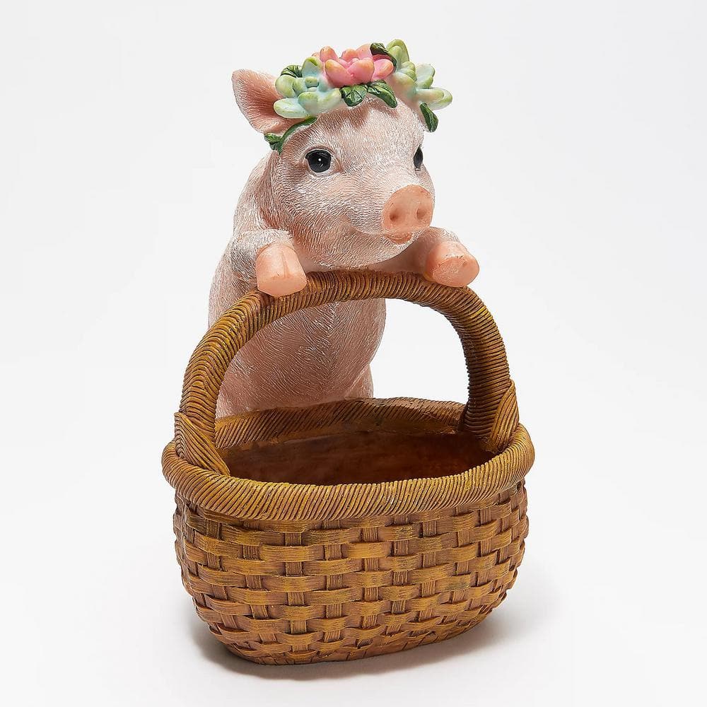 Evergreen Pig Succulent Resin Planter Basket ZQ84G2745