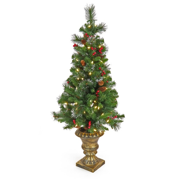 National Tree Company 4 ft. Crestwood Spruce Entrance Tree with Warm White LED Lights