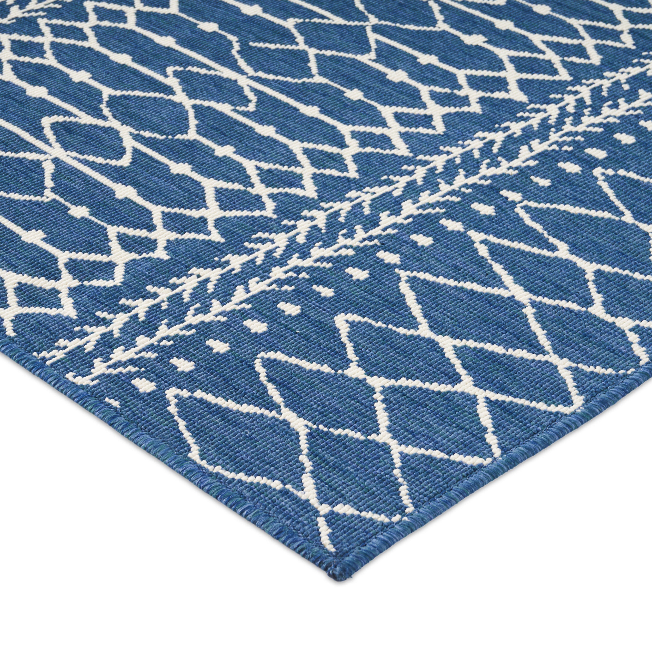 Cooney Indoor/Outdoor Area Rug