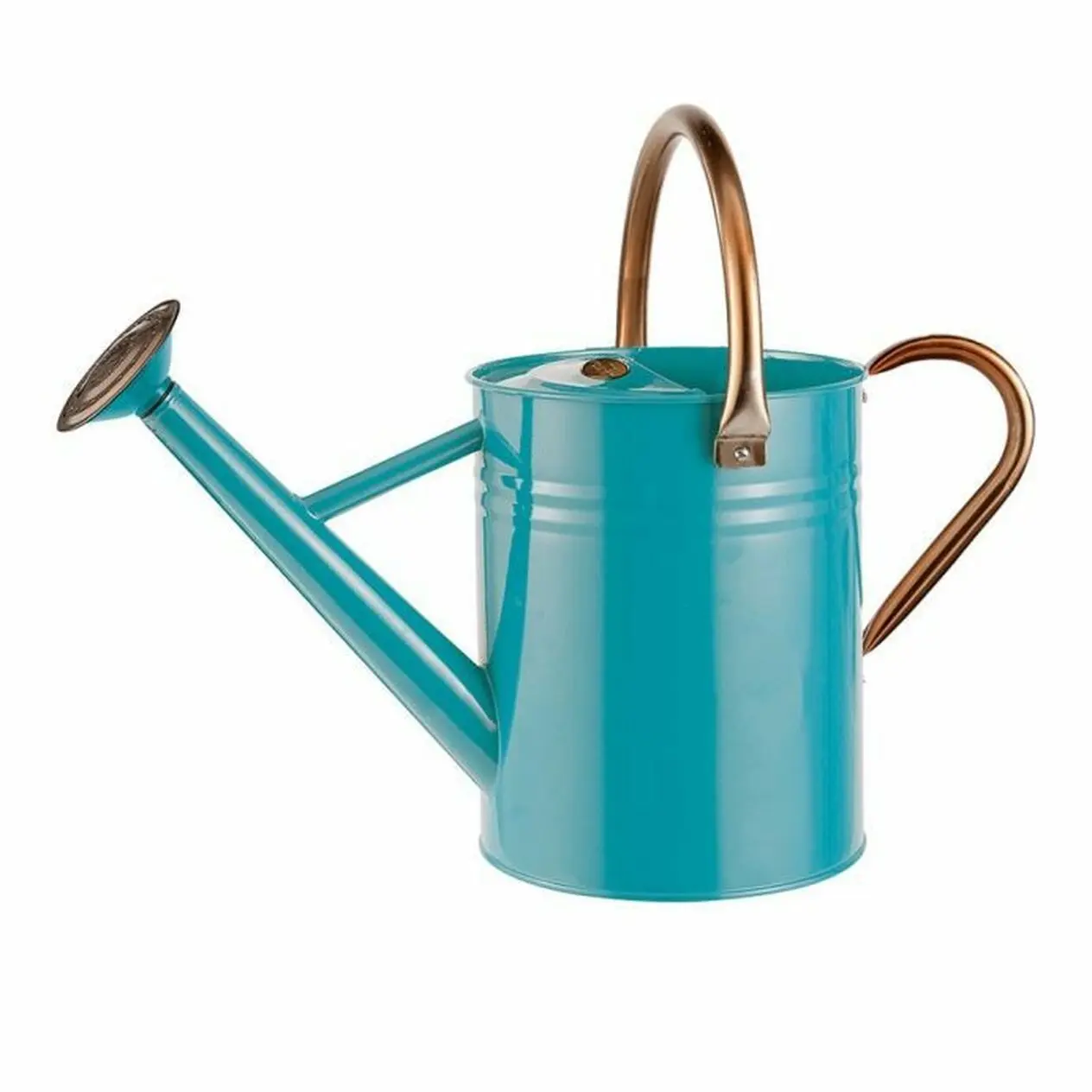 Sky Blue Finishing Printed Watering Canes New Design Customized Size Aluminum Jug Planter Can Water Cane High Standard Quality