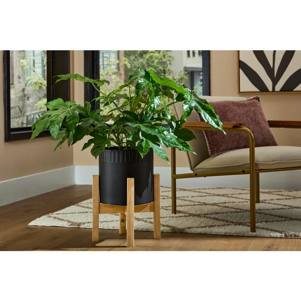 Vigoro 10 in. Clementine Medium Black Ceramic Planter (10 in. D x 16 in. H) with Wood Stand CT826L-MTBK