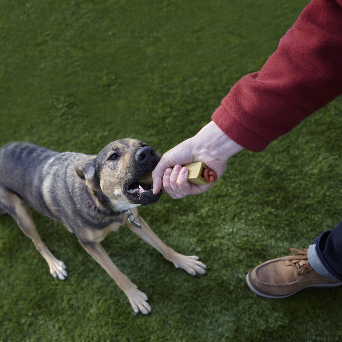 ZoomaChew Tossin' Tug Dog Treats