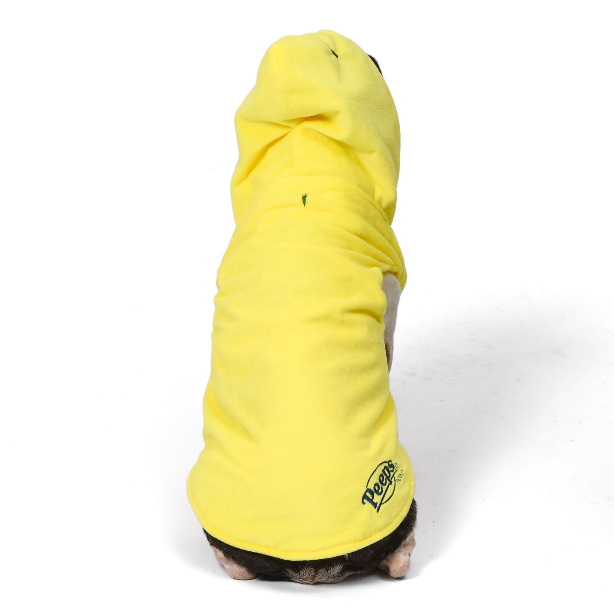 Peeps for Pets Halloween and Easter Chick Costume for Dogs， Small