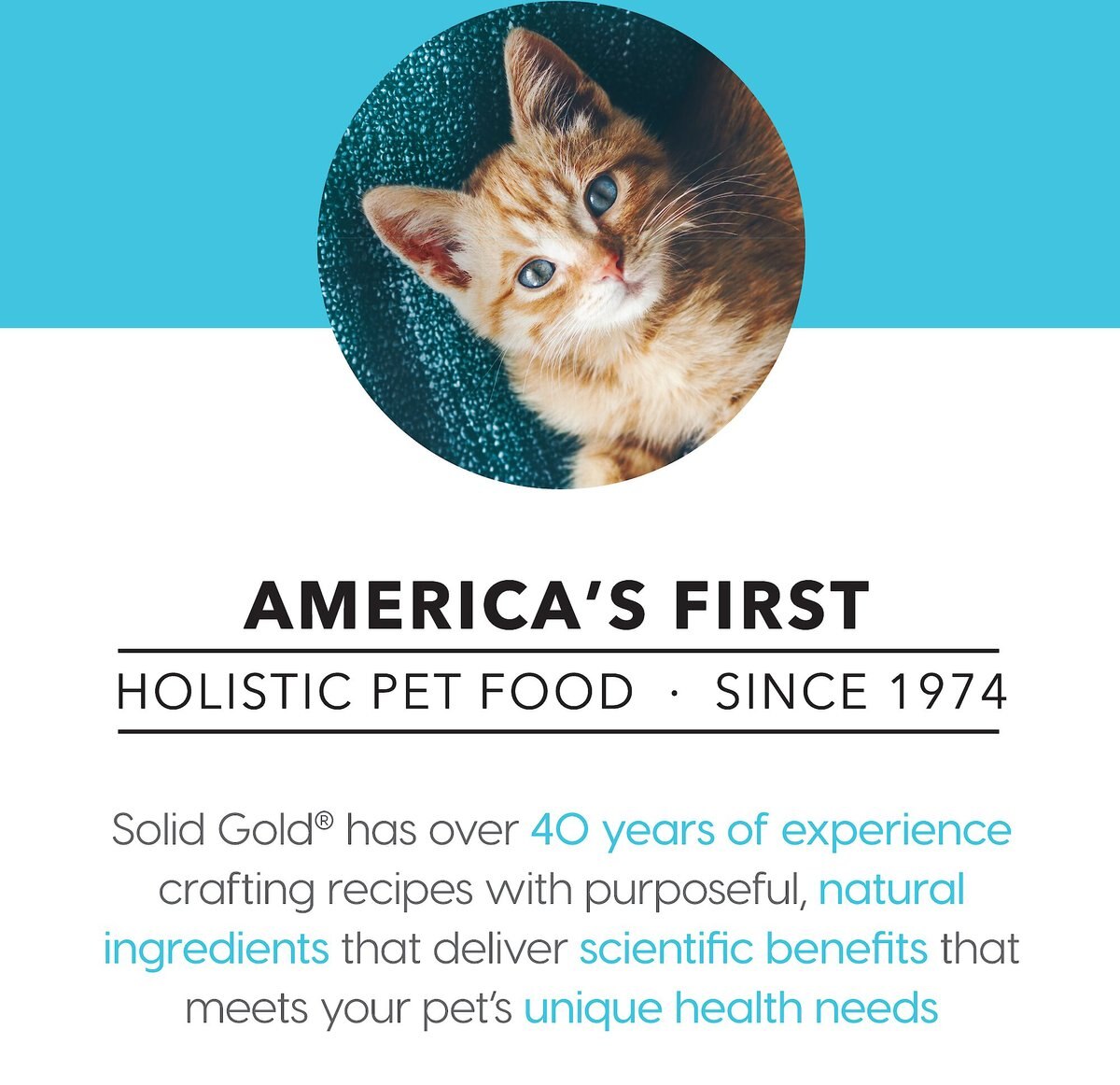 Solid Gold Holistic Delights Creamy Bisque with Tuna and Coconut Milk Grain-Free Cat Food Pouches