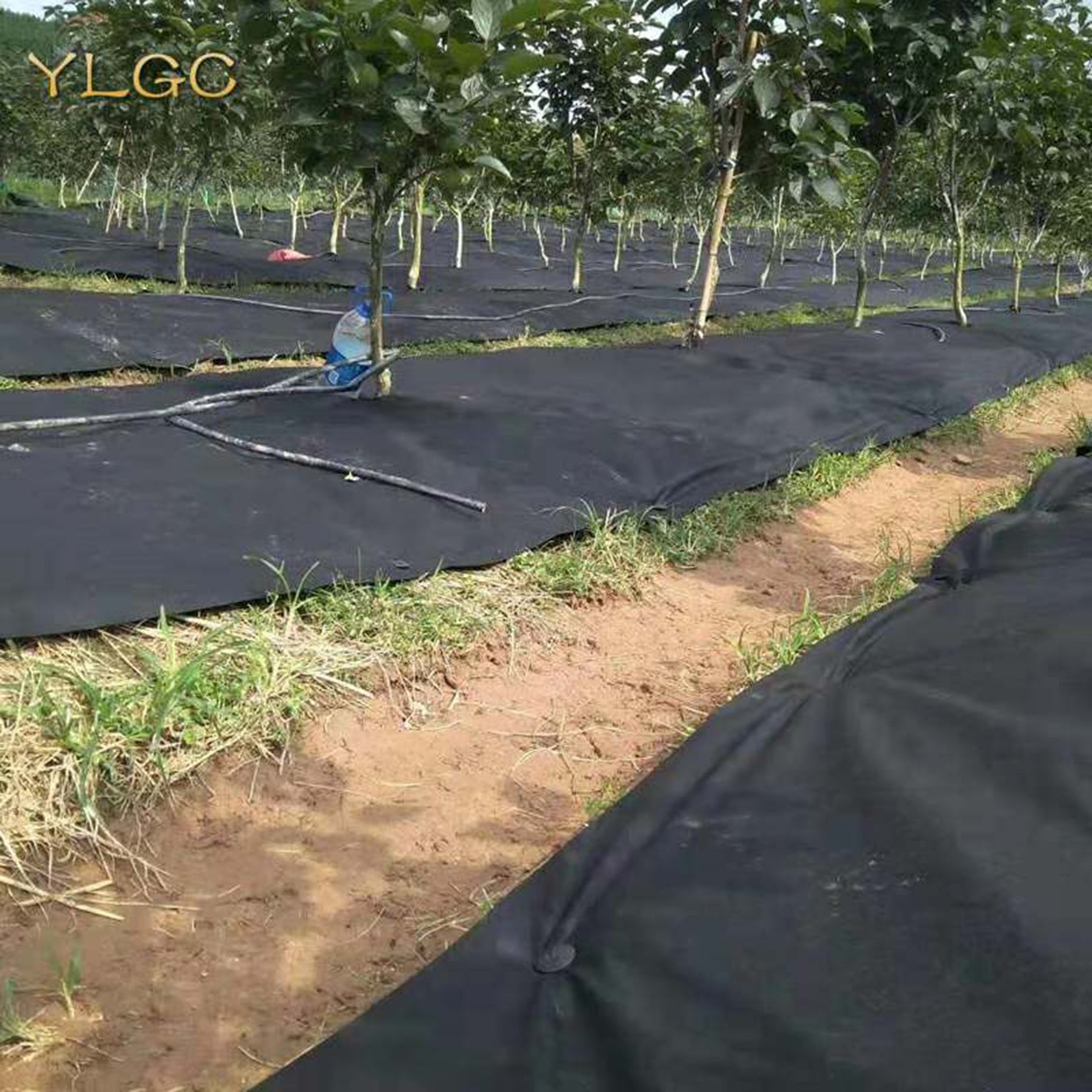 Weed Control Fabric Ground Cover Degradable Film Non Woven Weeding Cloth Black Landscape Mat Heavy Duty Garden Supplies