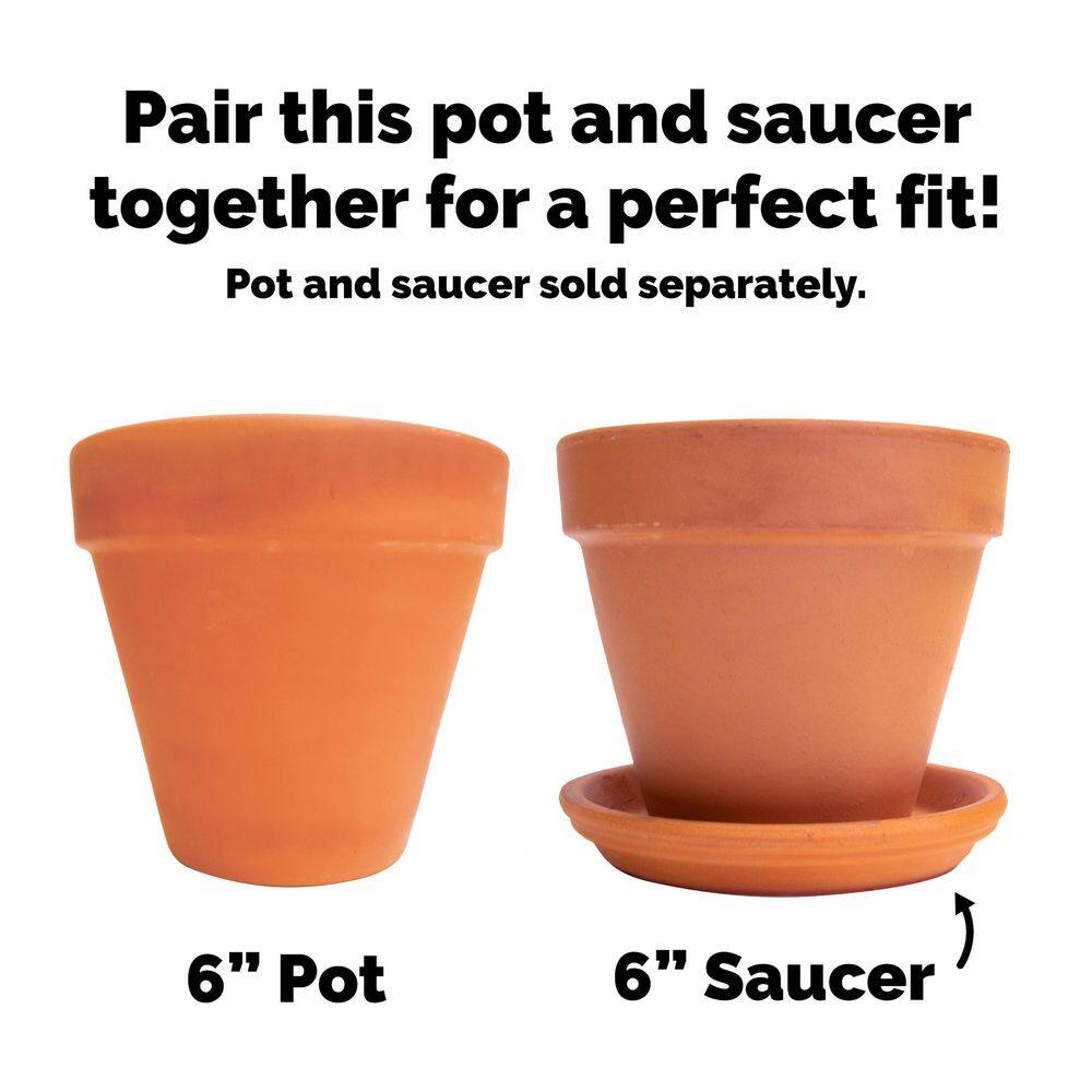 Pennington 6 in. Small Terra Cotta Clay Pot 100043013