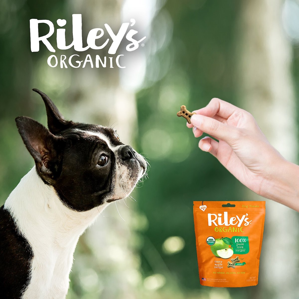 Riley's Organic Tasty Apple Bone Dog Treats， 5-oz bag， Small