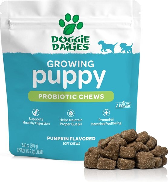 Doggie Dailies Growing Puppy Probiotic Soft Chew Digestive Supplement， 120 count