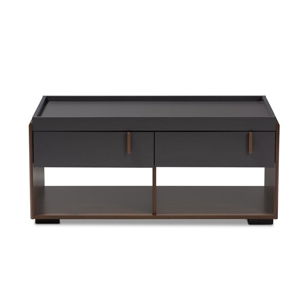 Contemporary 2-Drawer Coffee Table