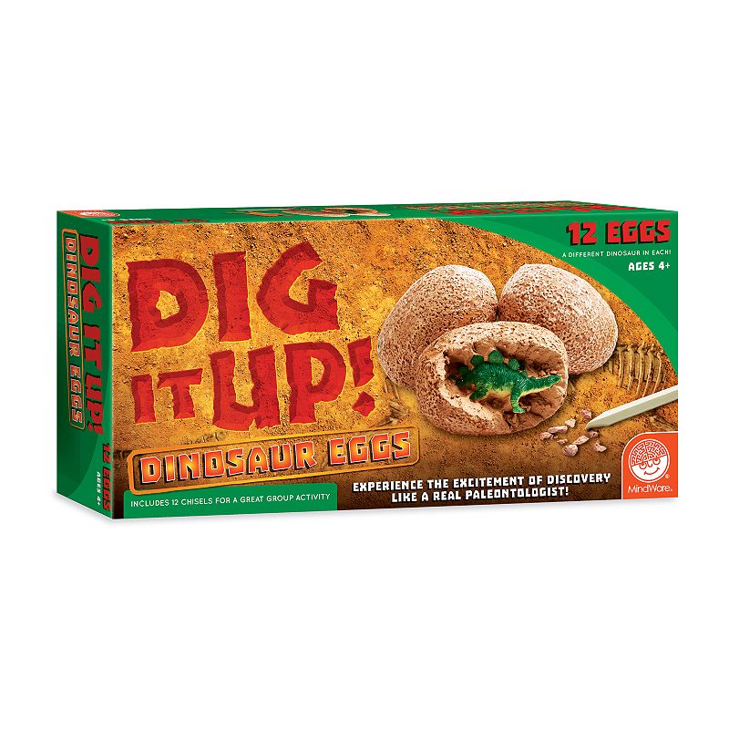 Dig It Up! Dinosaur Eggs by MindWare