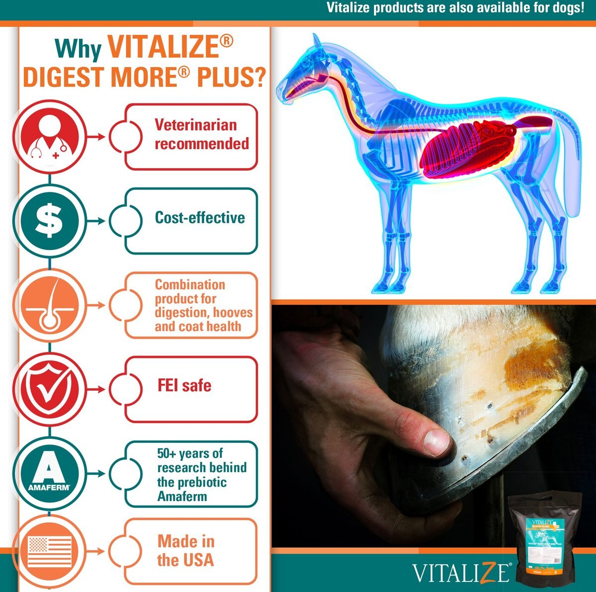 Vitalize Digest More Plus Pellets Horse Supplement， 10-lb bag