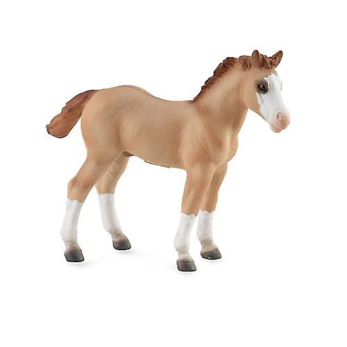 CollectA Quarter Foal Figure (Medium) (Red Dun)