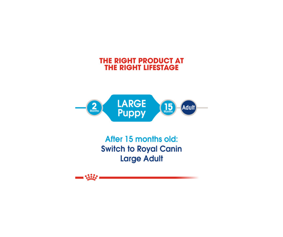 Royal Canin - Large Breed， Puppy Dry Dog Food