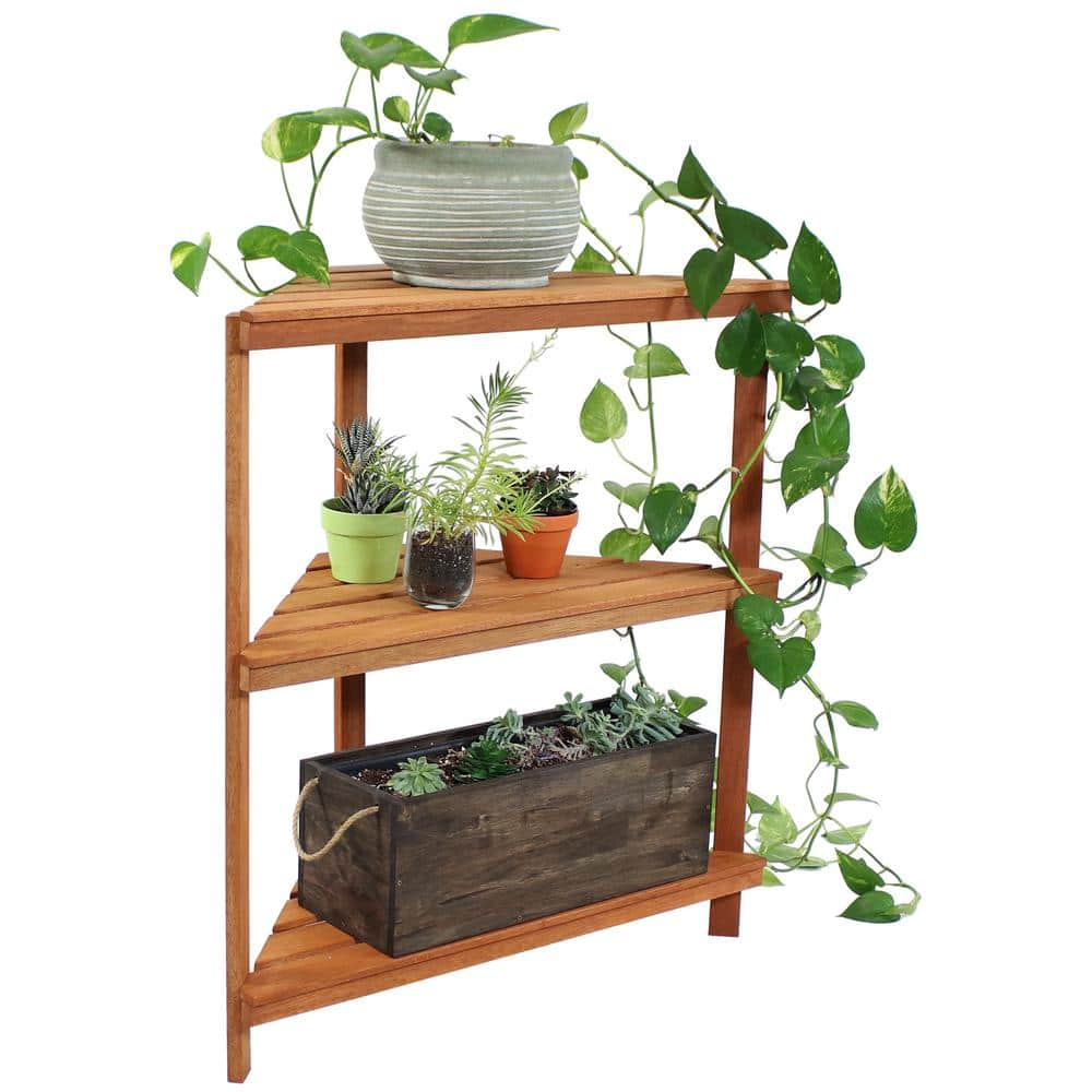 Sunnydaze Meranti Wood Teak Oil 3-Tier IndoorOutdoor Corner Plant Stand LAM-646