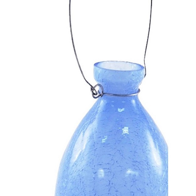 Hanging Glass Teardrop Rooting Vase Achla Designs