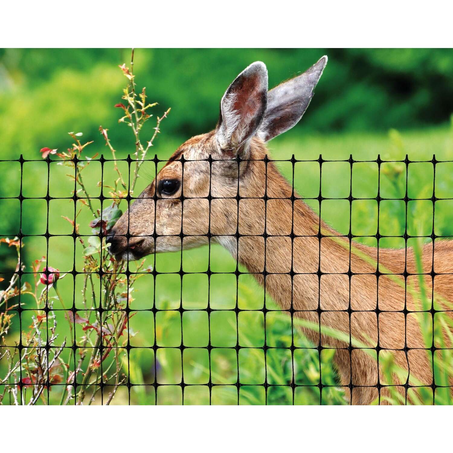 Tenax 7 ft. H X 100 ft. L Polypropylene Deer Netting Black