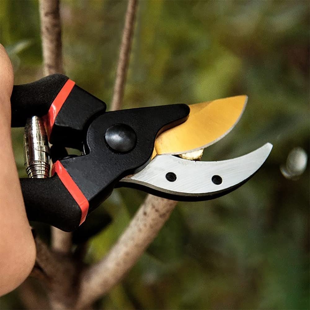 8" Heavy Duty Bypass Pruning Shears with Soft Grip, Premium Garden Shears, Flower Stem Cutter, Gardening Tool for Cutting Yard Tree and Rose, 1 Pack