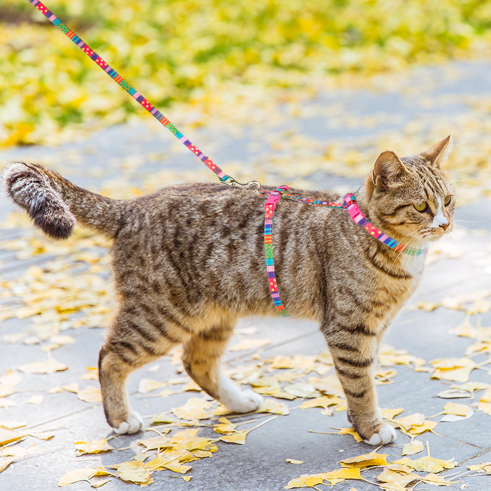 Buckle Cat Harness With Leash，Buckle Colorful Design for Cat Harness and Puppy Cat