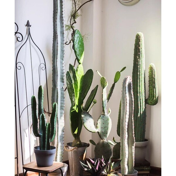 RusticReach Artificial Cactus in Pot Various Styles