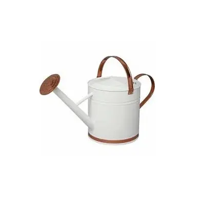 Butterfly printed White Watering Canes Iron Watering Can For Indoor Outdoor Garden Flower Garden Supplies Water Planting Supply