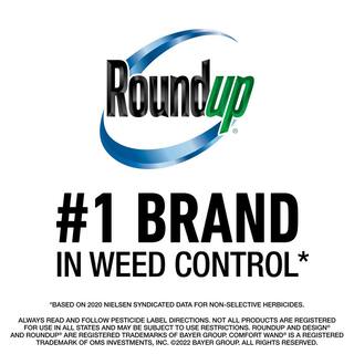 Roundup 32 oz. For Lawns 3 Ready-To-Spray (Northern) 502041005