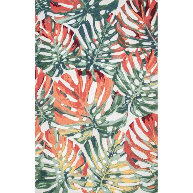 Nuloom Contemporary Floral Janice Indoor outdoor Patio Area Rug