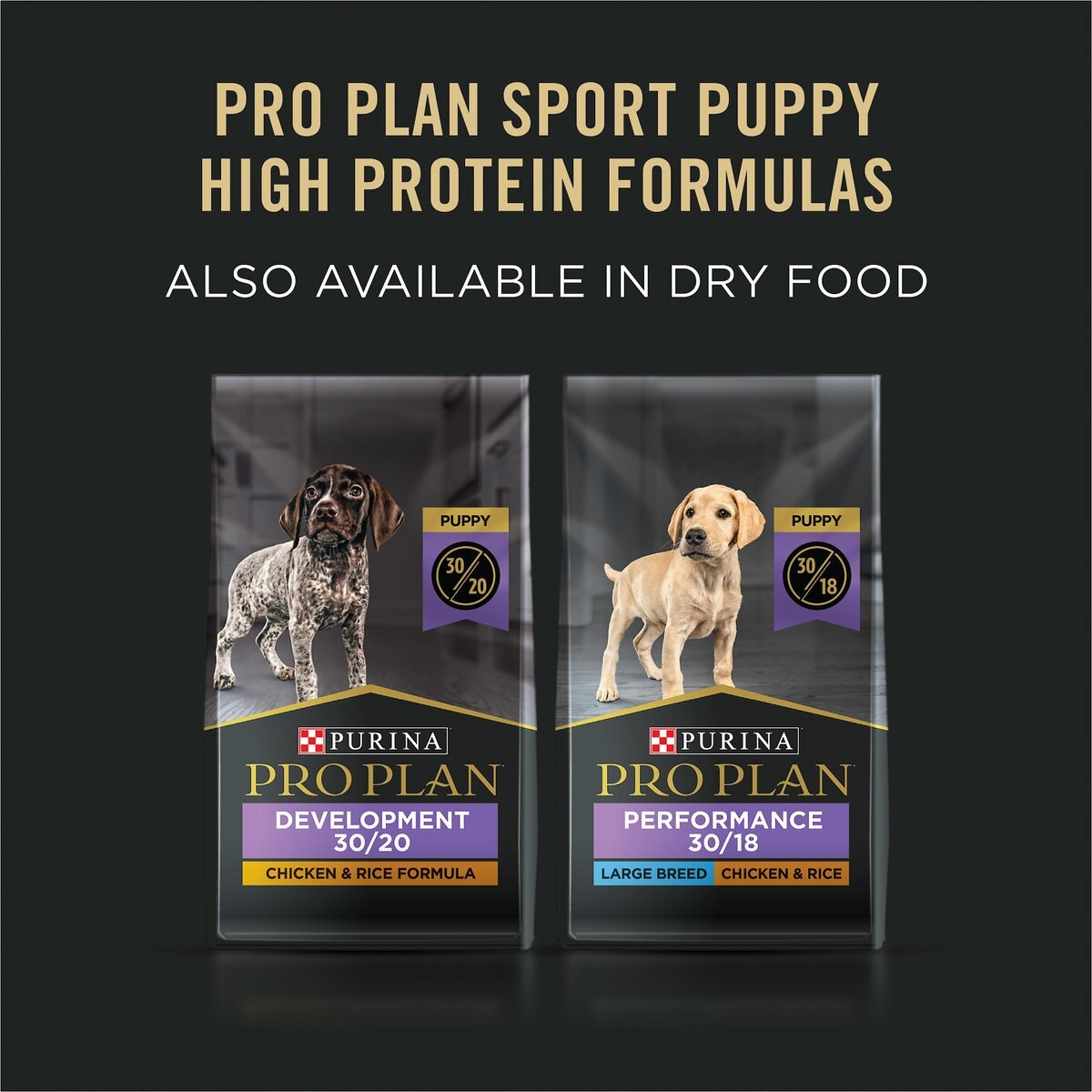 Purina Pro Plan Sport Development Puppy High Protein Beef and Rice Wet Dog Food， 13-oz can， case of 12