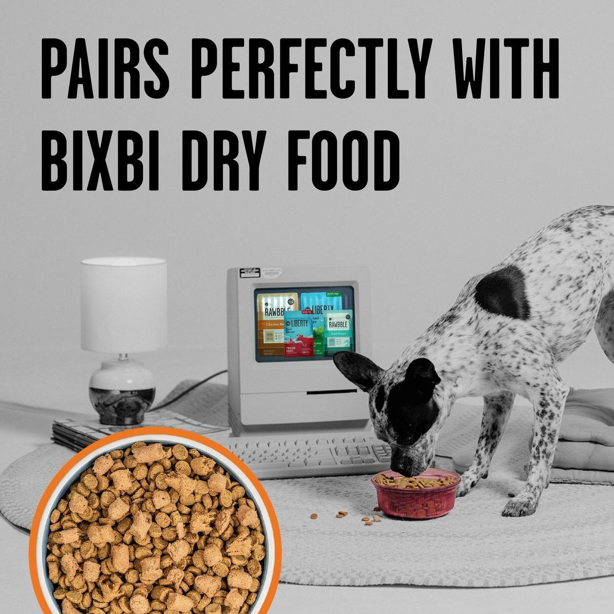 BIXBI Rawbble Chicken Recipe Grain-Free Freeze-Dried Dog Food