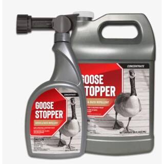 ANIMAL STOPPERS Goose Stopper Animal Repellent 32 oz. Ready-to-Spray Hose End GS-C-032-HS