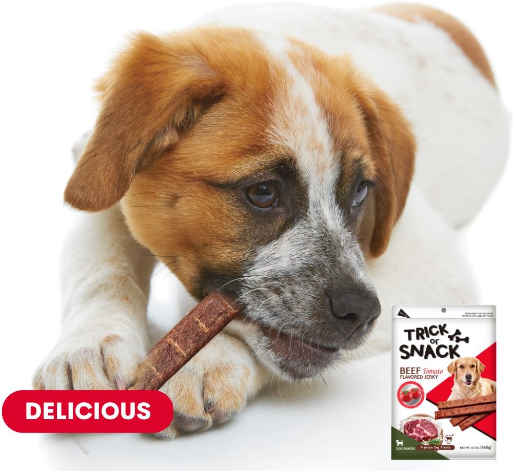 Trick or Snack Beef and Tomato Flavored Jerky Dog Treats， 1-lb bag