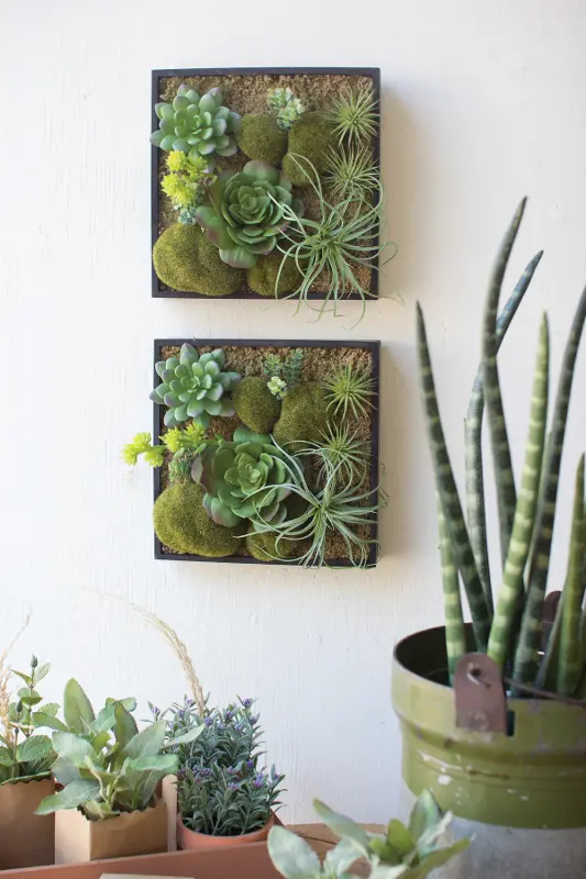 Assorted Artificial Succulent Wall Hanging Arrangement