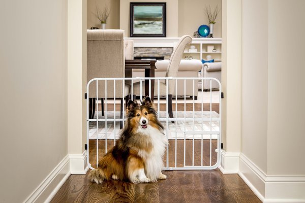 Carlson Pet Products Tuffy Expandable Gate with Pet Door