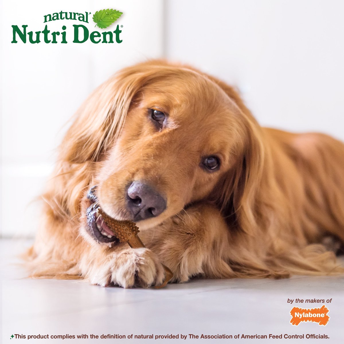 Nylabone Nutri Dent Limited Ingredients Large Filet Mignon Natural Dental Dog Treats