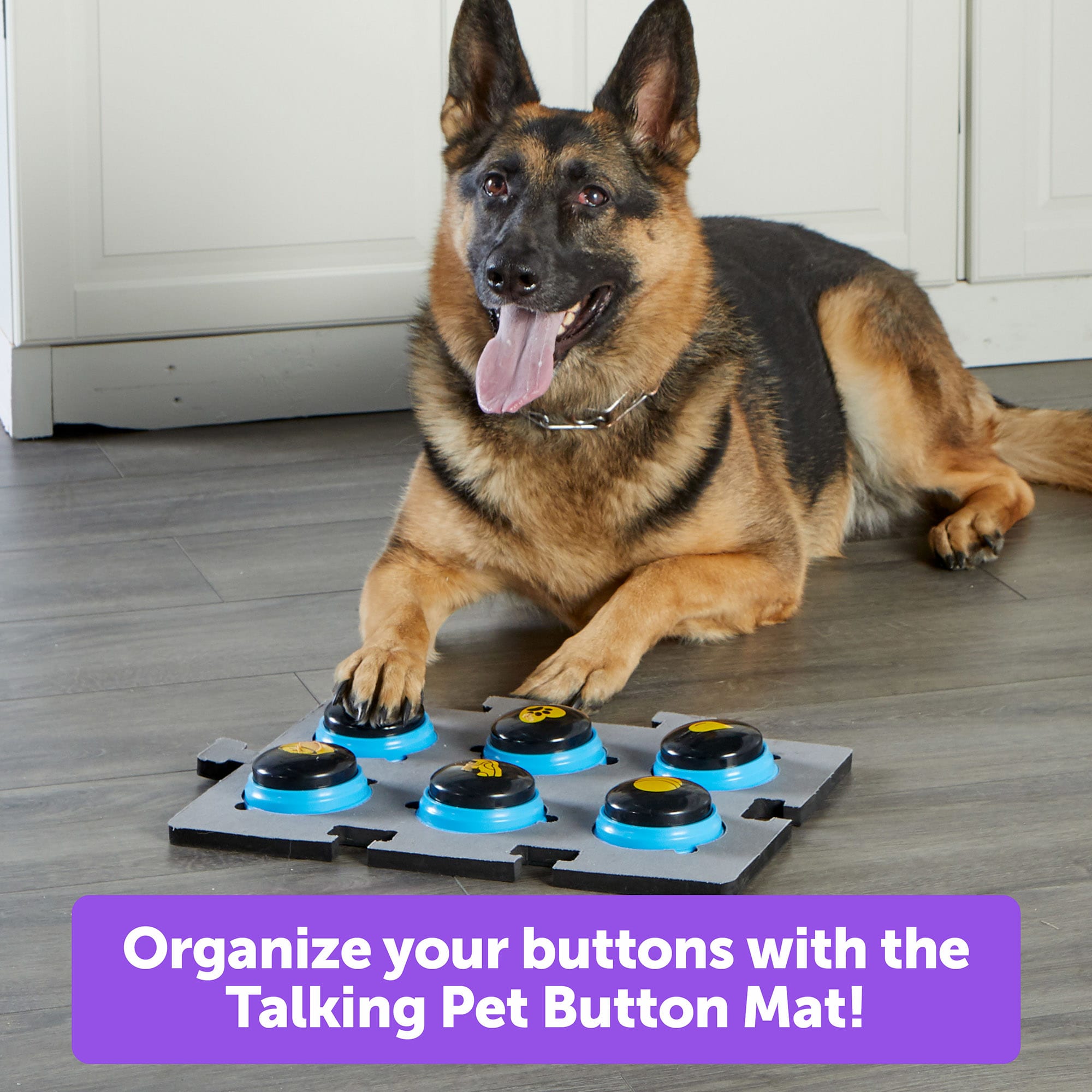 Hunger For Words Talking Pet Button Mat for Dogs