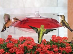 Droll Yankees Window Hummer 3 Hummingbird Feeder with 2 Ports