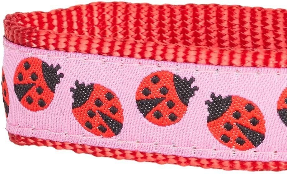 Blueberry Pet Spring Prints Nylon Dog Leash