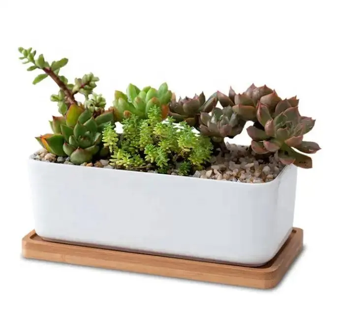 Wholesale Hot Sale Home Garden Dropshipping Geometric White Succulent Planter Pots Ceramic Plant Container with Bamboo Saucers