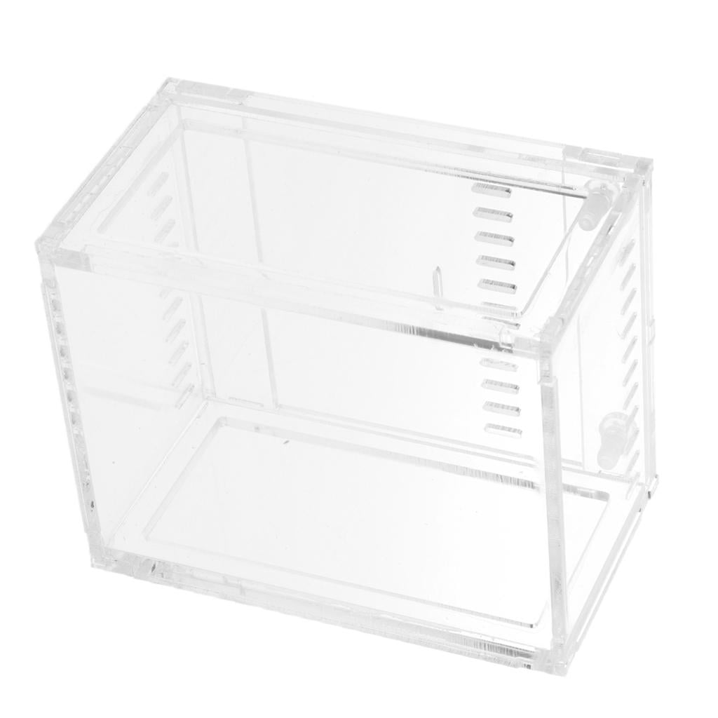 Clear Terrarium Box Reptile and Amphibian Breeding Box for Turtle