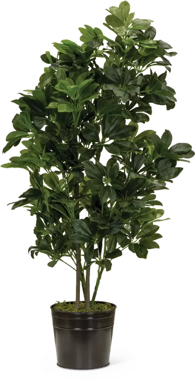 43 Inch Faux Schefflera Tree Arrangement