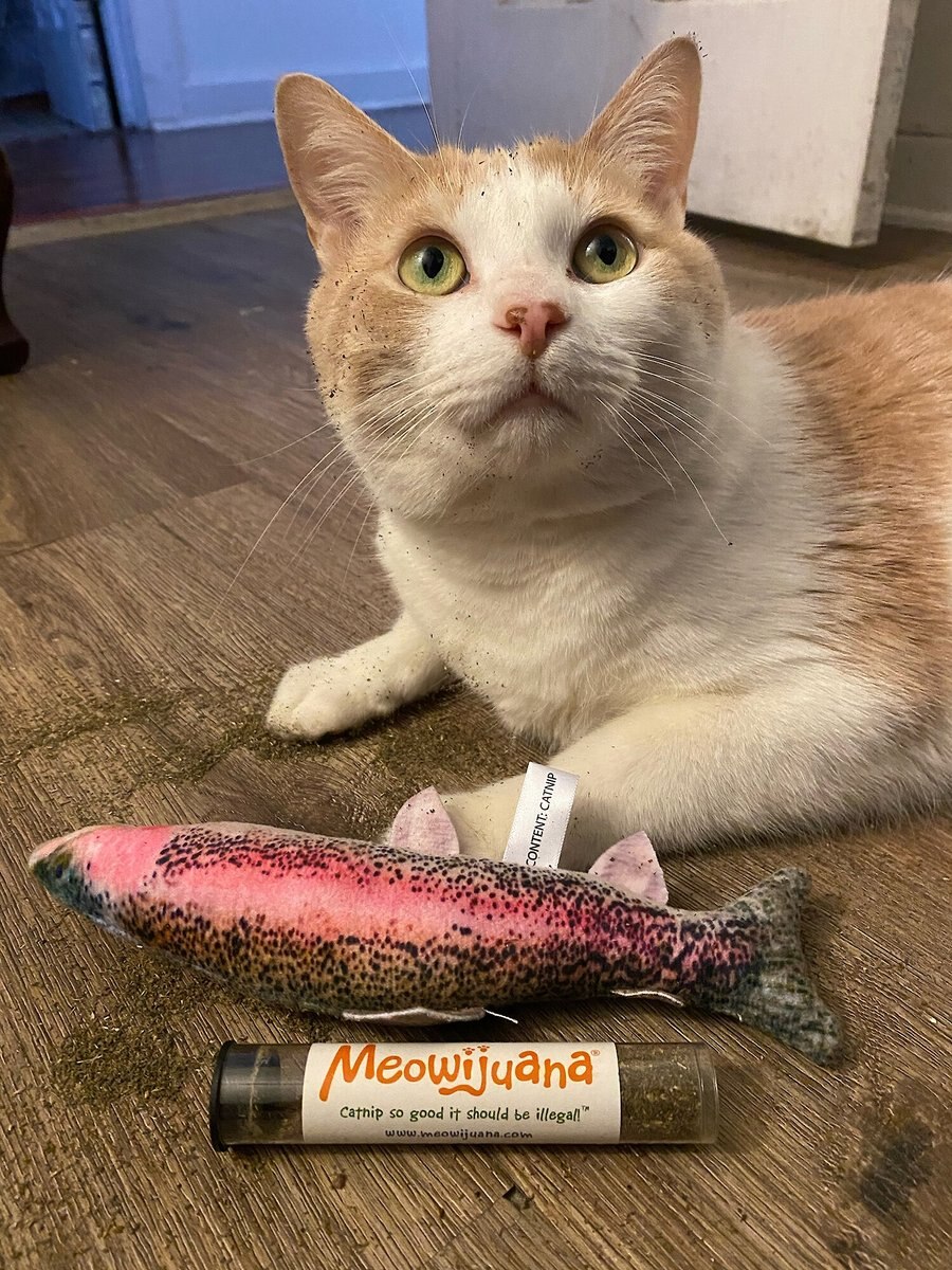 Meowijuana Refillable Get Smoked Catnip Fish Cat Toy