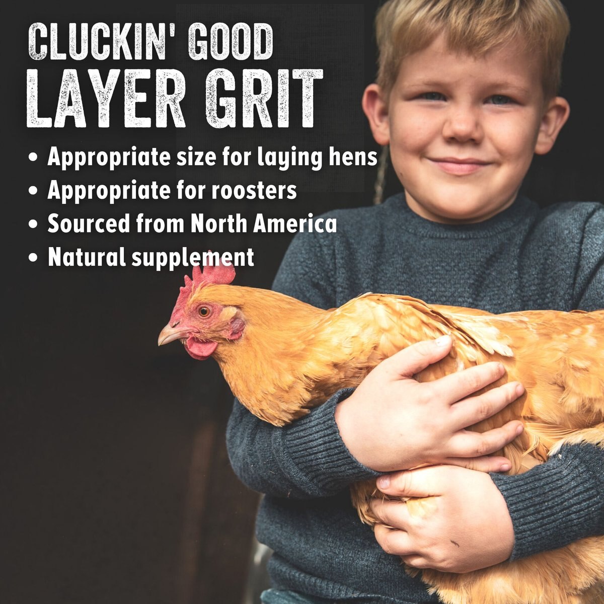 Scratch and Peck Feeds Cluckin' Good Layer Grit Chicken Supplement， 7-lb bag