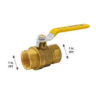 ProLine Series 1 in. x 1 in. Brass FIP Full Port Ball Valve 107-815HN